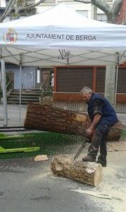 IMG-20141218-WA0008 (Medium)