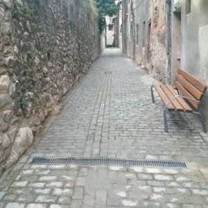 passatge especier baga