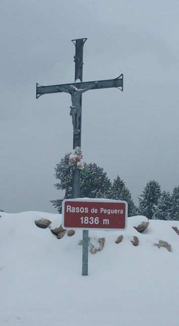 neu. rasos 2