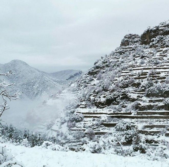 neu. sant julia 1