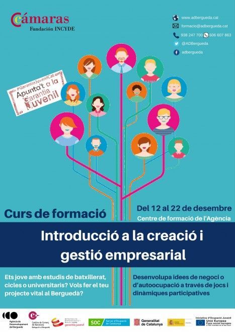 Incyde 2016.Cartell