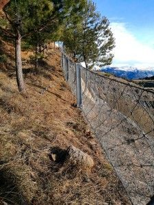 fumanya-intervencions-1