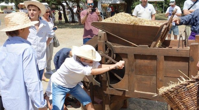 segar-batre-2017