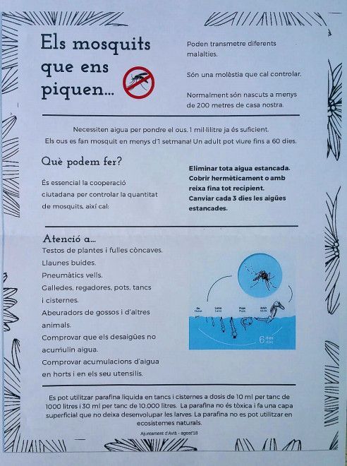 Fulletó Avià Campanya Mosquits 18