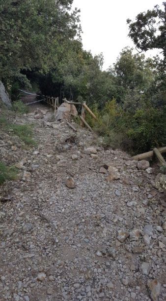 Despreniment 3 (1)