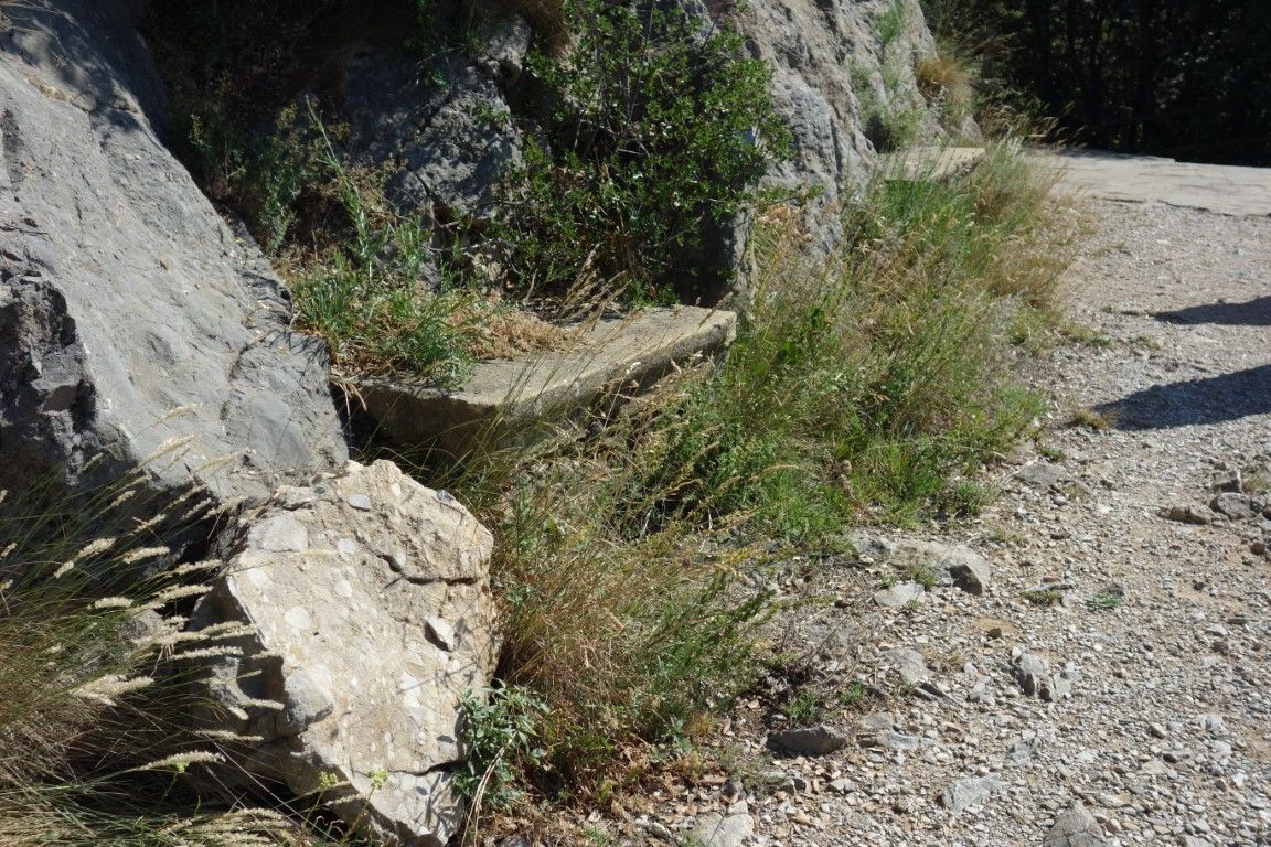 2_QUERALT (1)