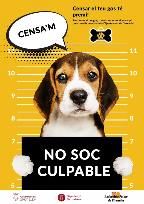 cartell-web