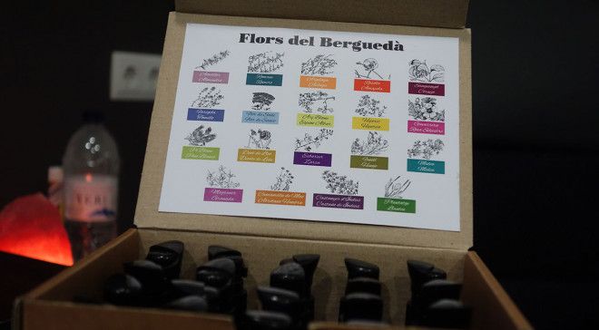 flors-bergueda