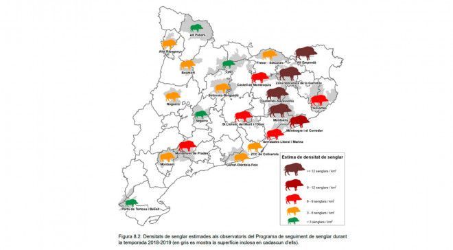 poblacio-densitat-senglar-2018-2019