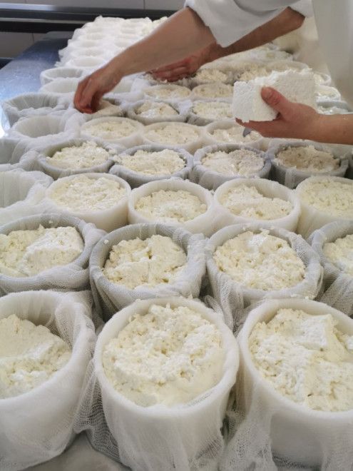 blancafort_1 (1)