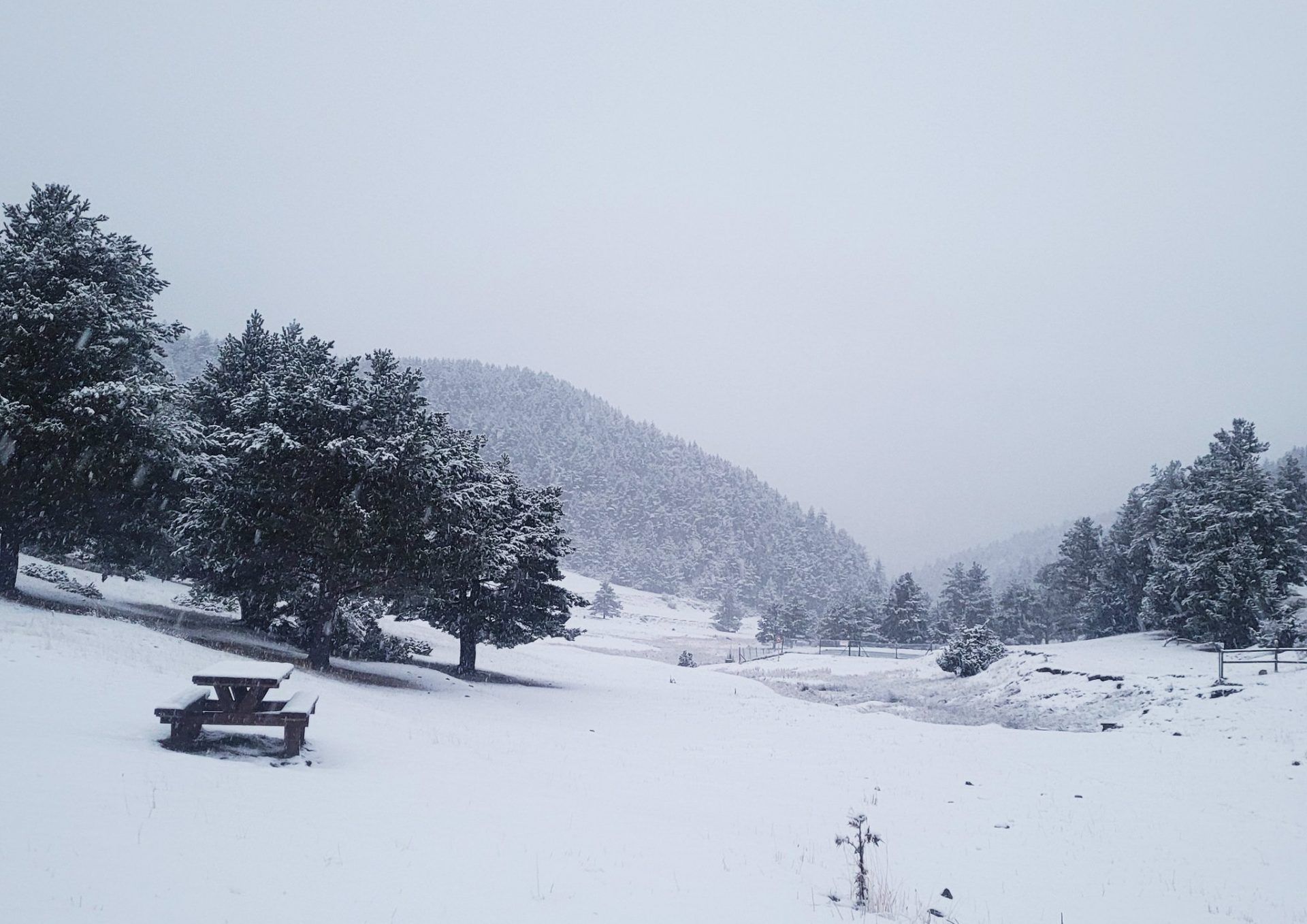 Àrea recreativa de Font Terrers, a Gósol, després de la nevada del 19 de gener del 2024 | MeteoGósol
