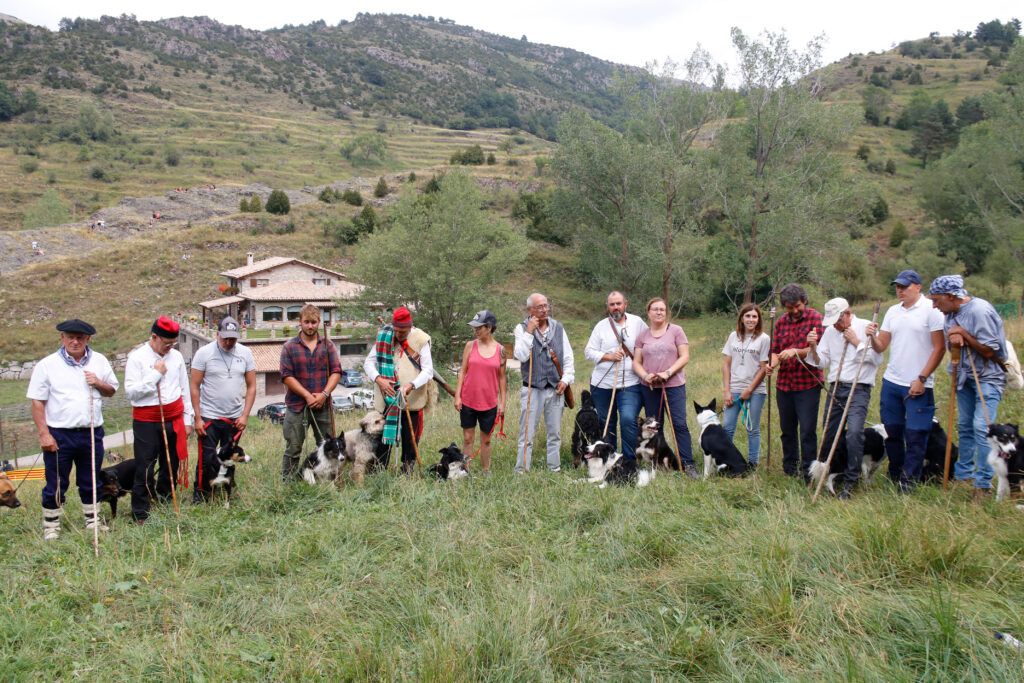 Concurs de Gossos d'Atura de Castellar de n'Hug | ACN/Lourdes Casademont