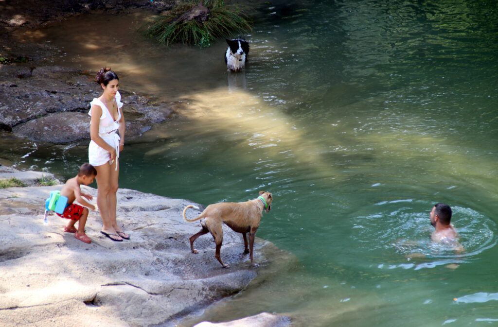 Els agents rurals inspeccionen l'entorn de Pedret i controlen les infraccions contra el medi natural | Laura Busquets/ACN