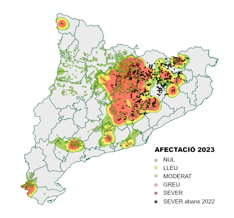 Mapa d'afectació de la plaga de papallona del boix a Catalunya