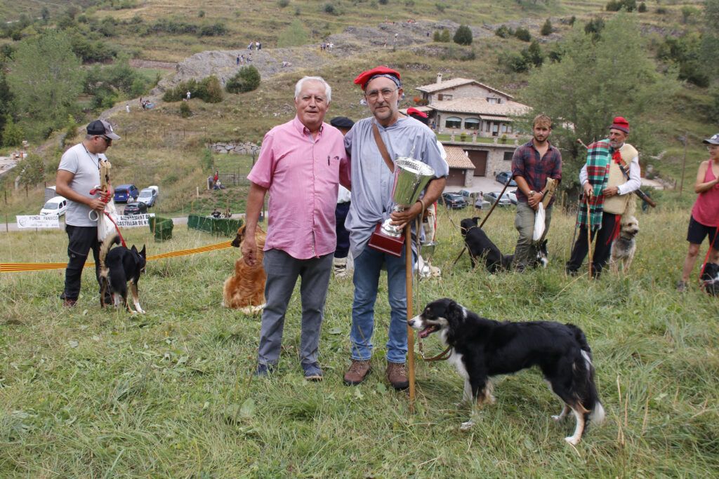 Concurs de Gossos d'Atura de Castellar de n'Hug | ACN/Lourdes Casademont