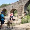 Els agents rurals inspeccionen l'entorn de Pedret i controlen les infraccions contra el medi natural | Laura Busquets/ACN