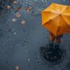 El Meteocat avisa de precipitacions que poden ser intenses, i acompanyades de tempesta i de "fenòmens de temps violent" sobretot dimecres al Berguedà | Freepik