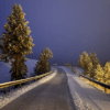 La carretera del xalet-refugi dels Rasos de Peguera, a primera hora d'aquest matí