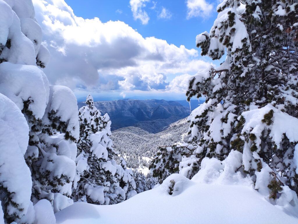Els Rasos de Peguera, després de la nevada de les últimes hores | Nil Farrés Soler @nil_farres