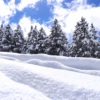 Els Rasos de Peguera, aquest matí, després d'una nevada que hi ha deixat més de 30 cm de neu nova | Nil Farrés Soler @nil_farres