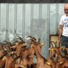 Josep Cuirols, de la formatgeria Cuirols de la Nou