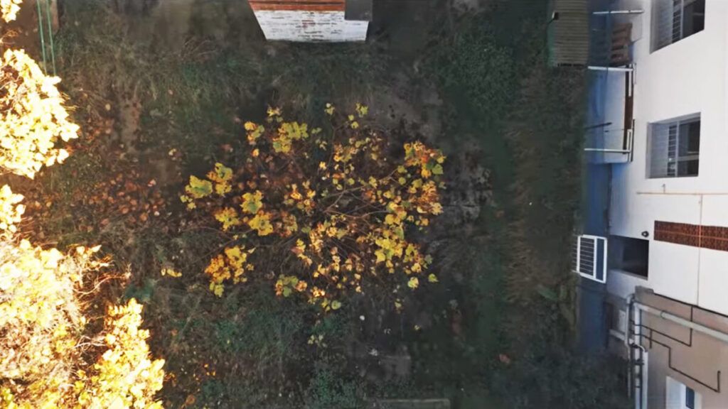 Antic pati de la Llar Santa Maria de Queralt, vist des de dalt, a què es podrà accedir des del carrer Balmes. | MC Produccions